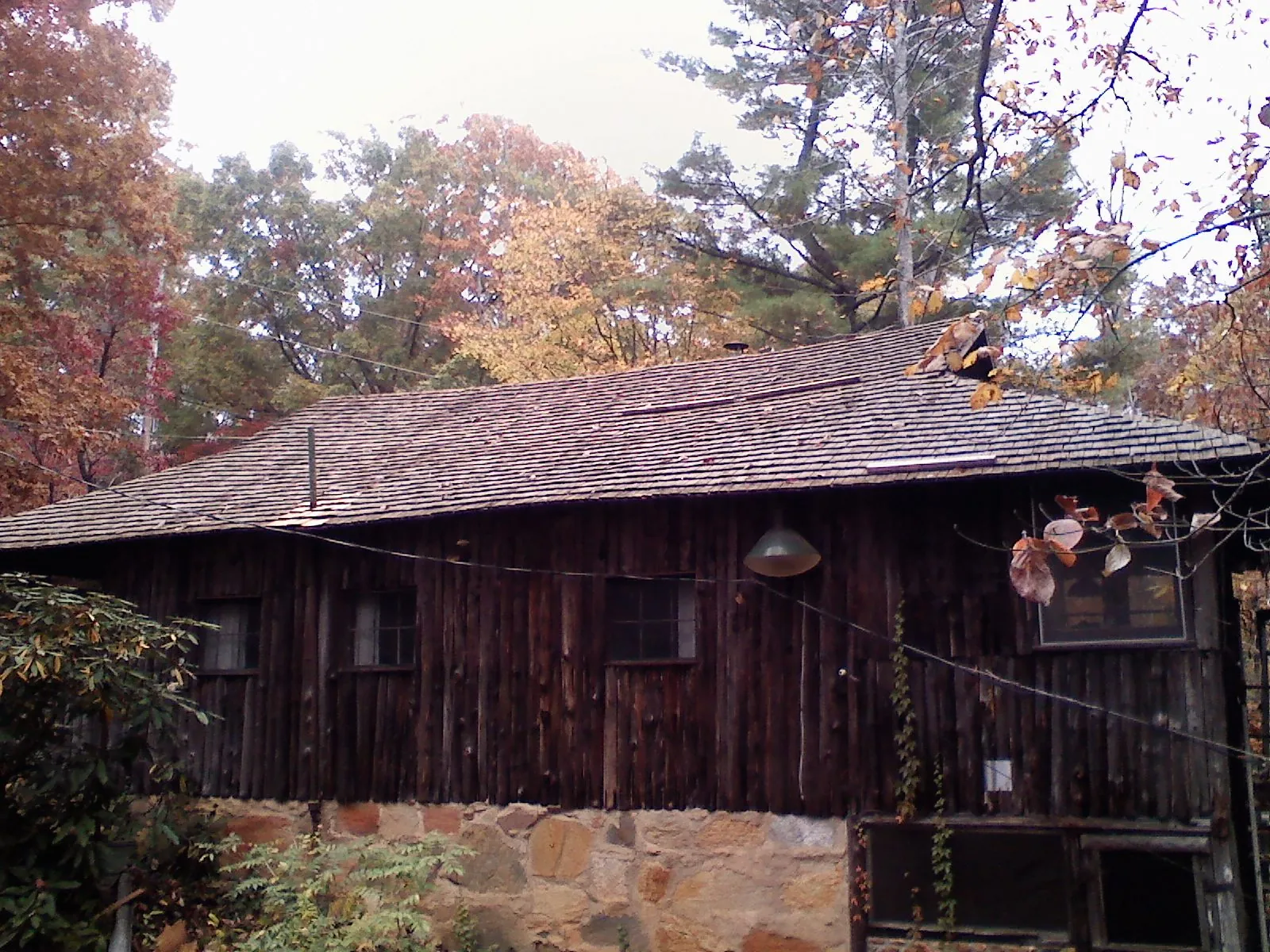 Weathered wood shake roof on a rustic board sided cabin in Evans